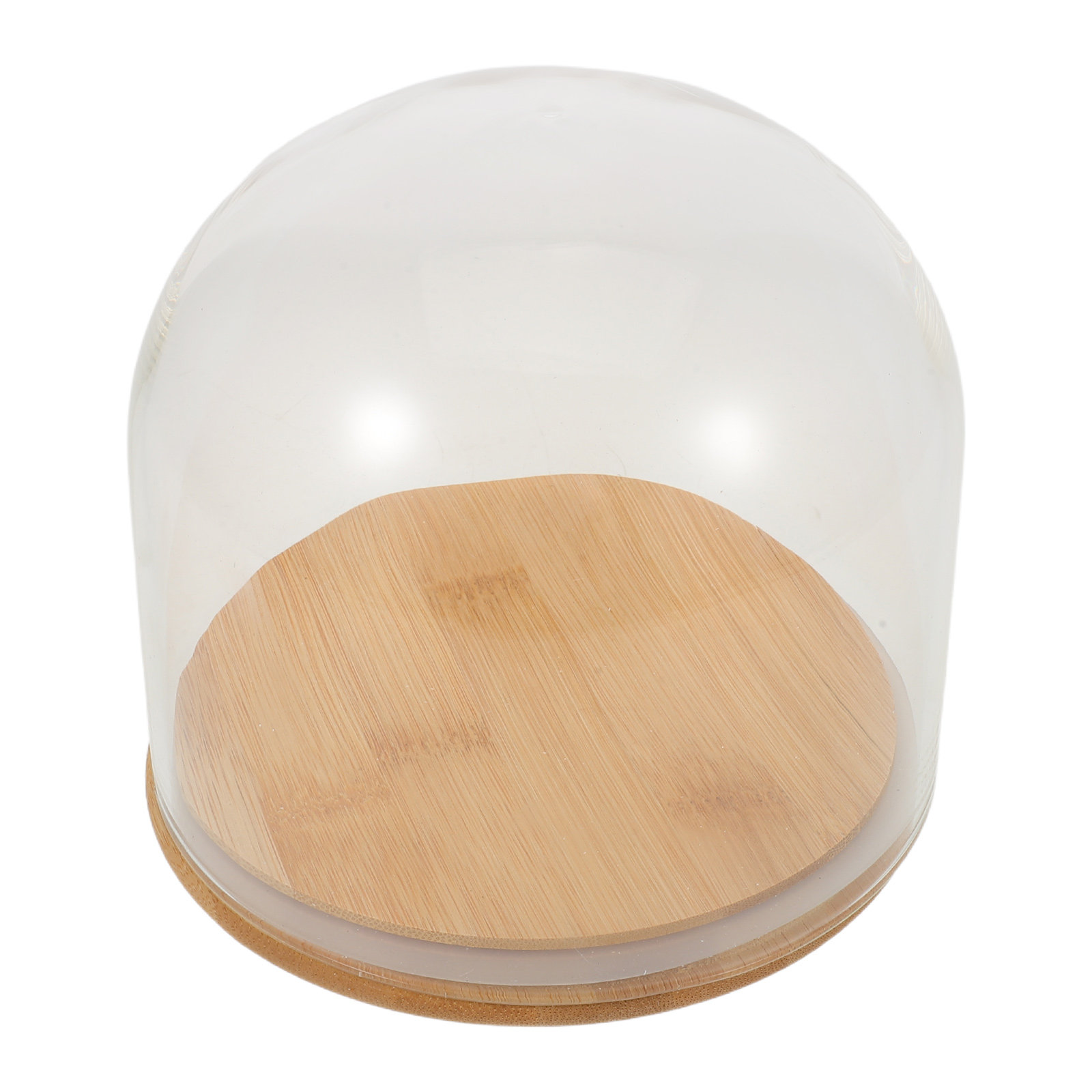 Sonsuz Çiçekler, Korunmuş Çiçe - Plastic Dome Clear incelemesi ve fiyatı