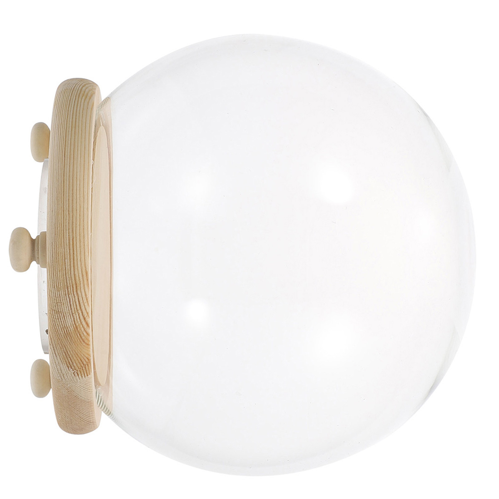 Korunmuş Çiçekler İçin Cam Kub - Plastic Dome Clear incelemesi ve fiyatı